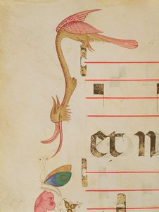 Missal 515 f.9r Fantastisk fågel som jagar en fjäril, detalj av dekorativ bård från en körbok utförd före 1449